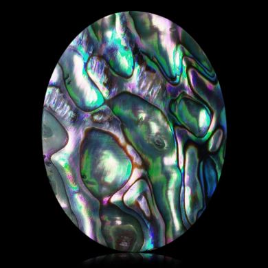 Abalone 58,05 ct 