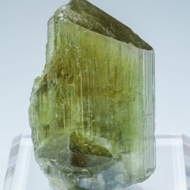 Diaspore