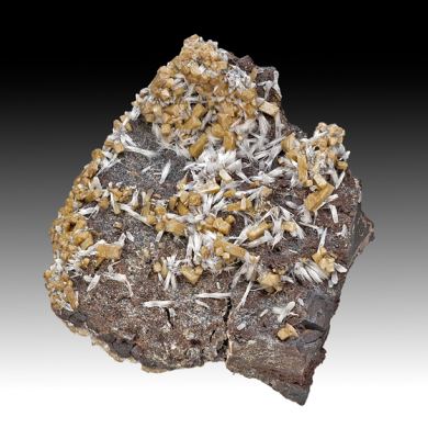 Olmiite with Bultfonteinite
