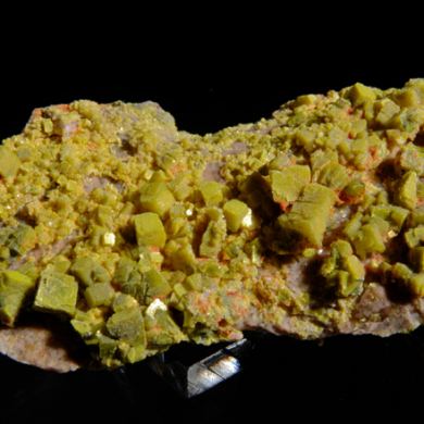 Autunite - fine crystals from type locale