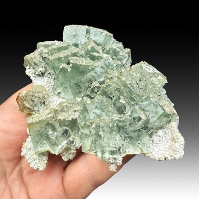 Fluorite with Calcite
