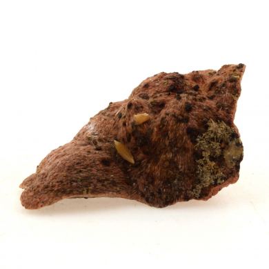 Wulfenite.