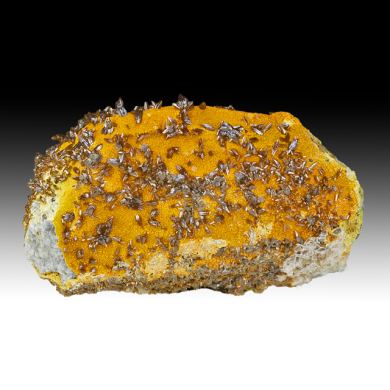 Vanadinite with Descloizite