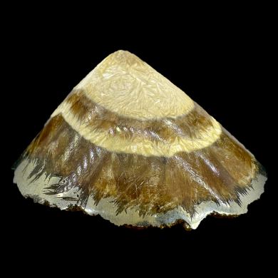 Baryte, marcasite