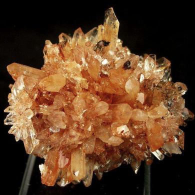 Creedite