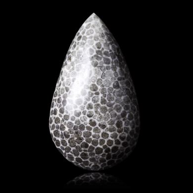 Fossil coral 22,55 ct 