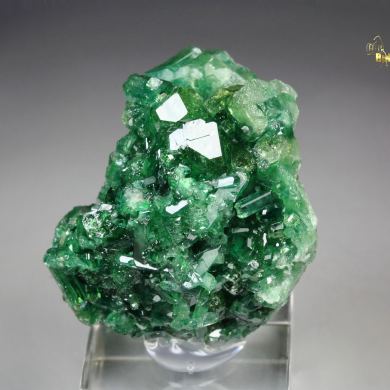 very rare -  GARNET var. GROSSULAR var. CHROMIAN, VESUVIANITE var. CHROMIAN