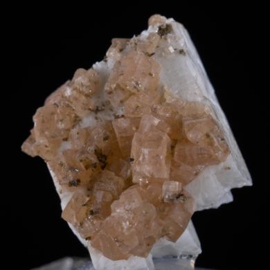 Serandite on Albite