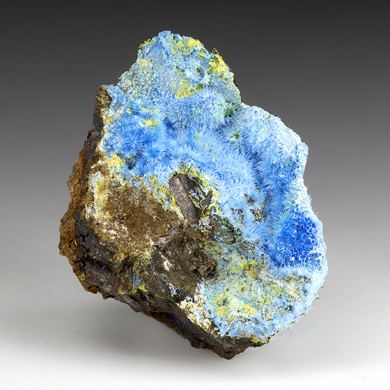 Cyanotrichite with Volborthite, Malachite