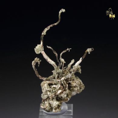 SILVER, CALCITE