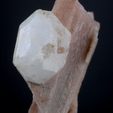 Analcime on Serandite/ Schiziolte