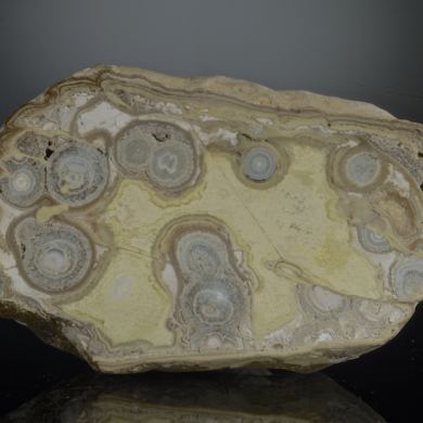 Variscite with Crandallite and Wardite - classic US