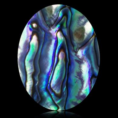 Abalone 46,12 ct 