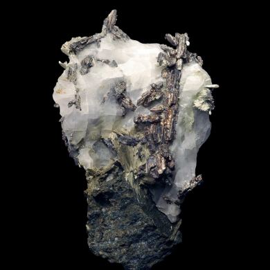 Allargentum 