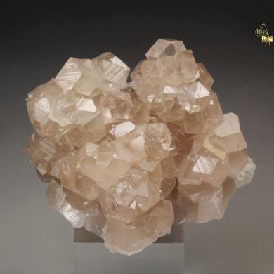 gem pink GARNET var. GROSSULAR, DIOPSIDE
