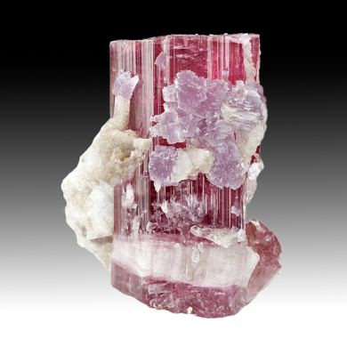 Elbaite with Lepidolite, Albite