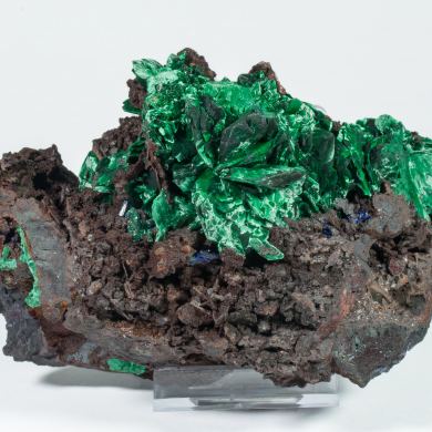 Malachite after Azurite on Goethite