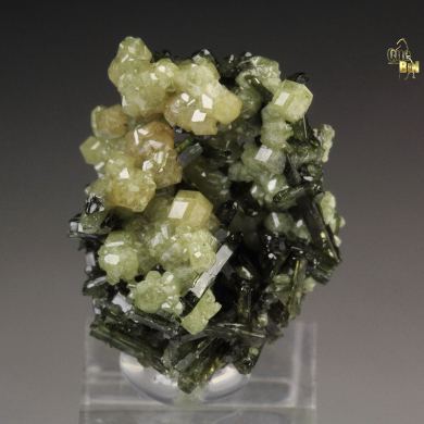 GARNET var. ANDRADITE, VESUVIANITE