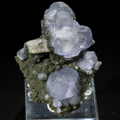 Fluorite & Fluorapatite on Muscovite