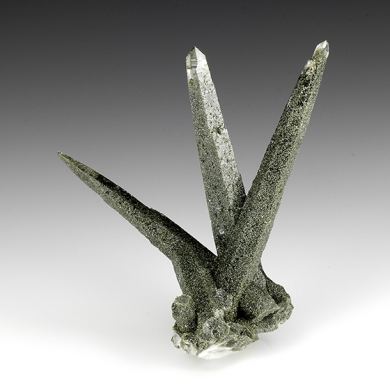 Quartz with Chlorite