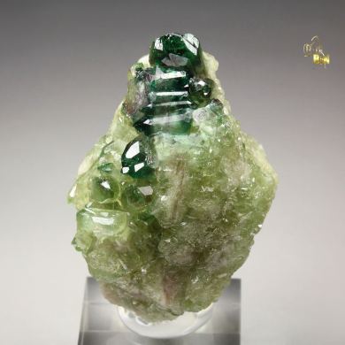 gem VESUVIANITE var. CHROMIAN