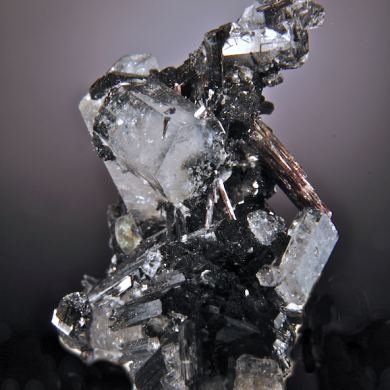 Beryl (var. Goshenite) on Schorl