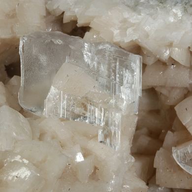Dolomite with Gypsum (var. Selenite)