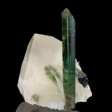 Elbaite Tourmaline, on Quartz