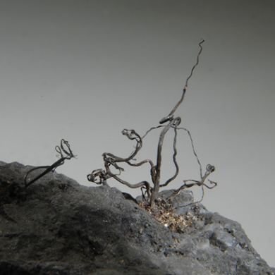 Native Silver wires on Acanthite, Calcite etc.