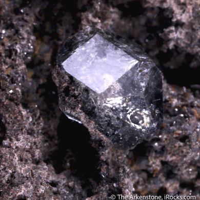 Analcime (Type Locality) with Magnetite