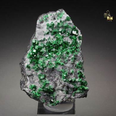 GARNET var. UVAROVITE