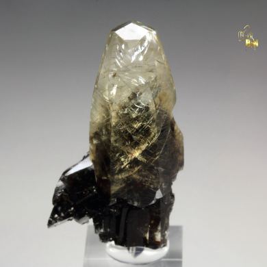 CALCITE with bitumen inclusions