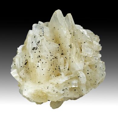 Barite with Marcasite