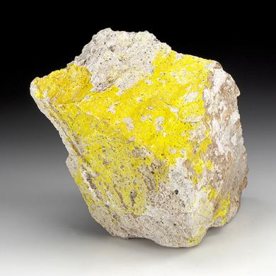 Tyuyamunite with Tangeite, Volborthite