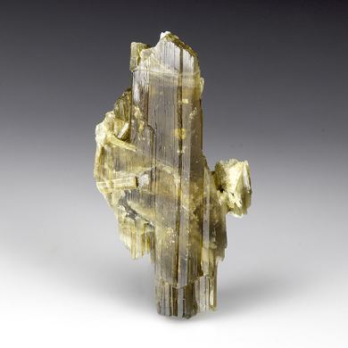 Epidote
