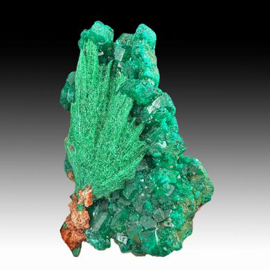 Malachite pseudomorph with Dioptase