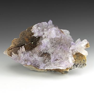 Creedite