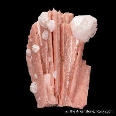 Schizolite (formerly Serandite) with Analcime