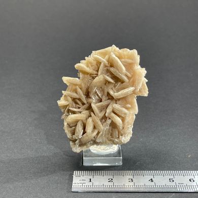 Barite - Palas Verdes, California, USA