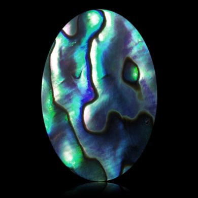 Abalone 33,33 ct 