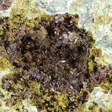 Carminite with Segnitite, Scorodite, Mimetite, Beudantite
