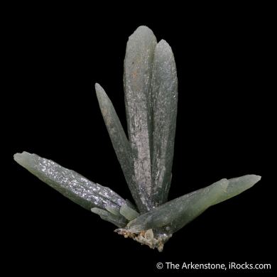 Quartz (Prase) Included by Actinolite