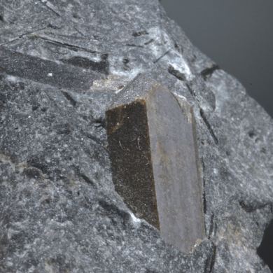 Lorenzenite with minor Aegerine