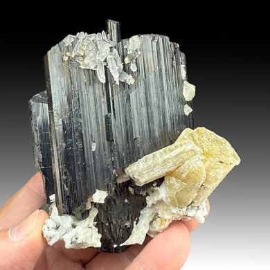 Schorl with Fluorapatite, Quartz