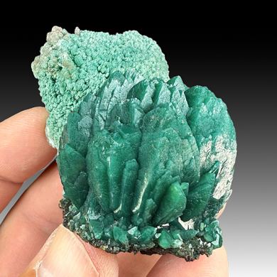 Fluorapophyllite-K with Celadonite