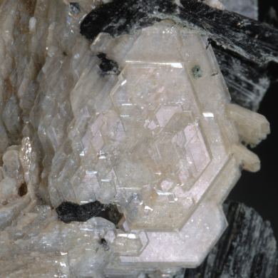 Catapleiite and Aegirine