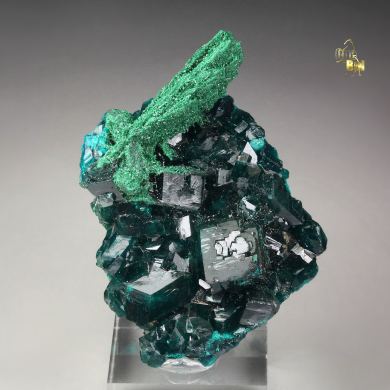DIOPTASE, MALACHITE pseudomorph