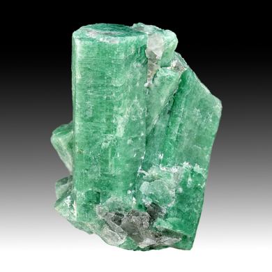 Beryl