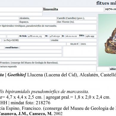 Goethite after Marcasite
