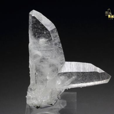 QUARTZ var. JAPAN LAW TWIN